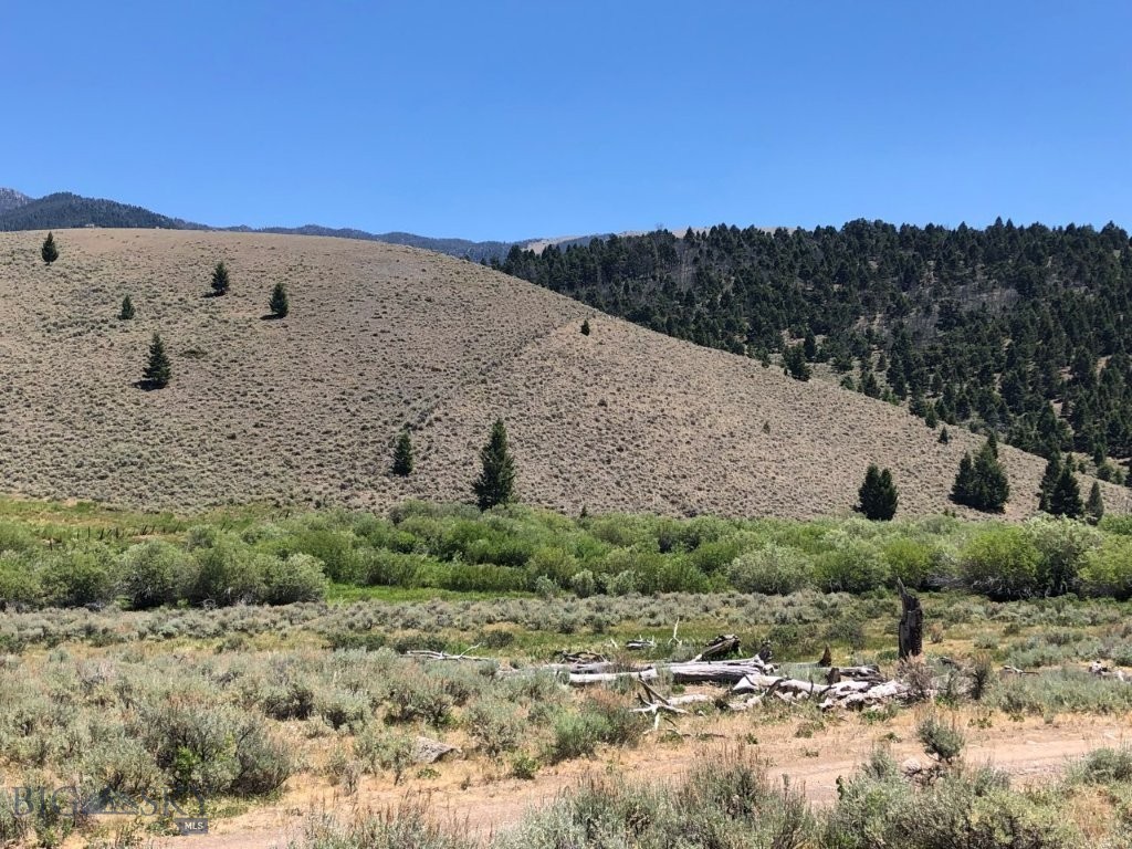 Tbd Camp Creek Road Property Photo 10