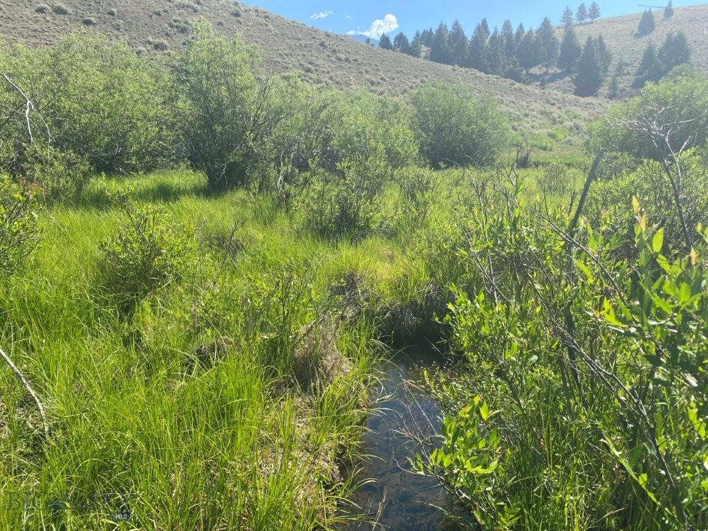 Tbd Camp Creek Road Property Photo 11