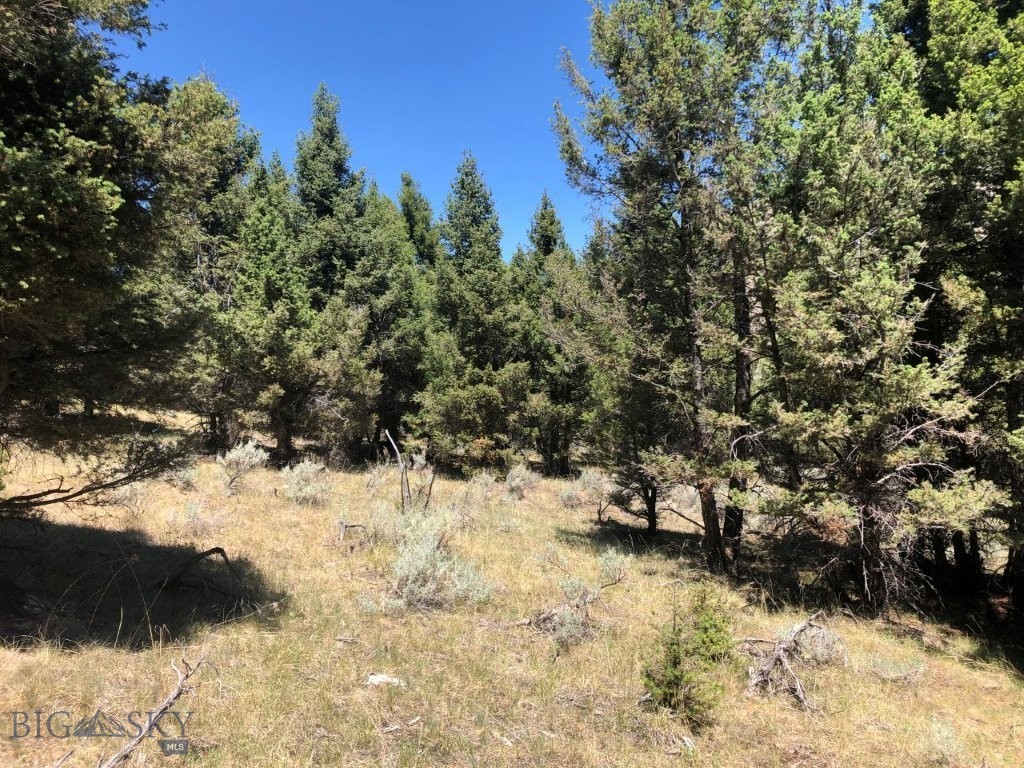 Tbd Camp Creek Road Property Photo 13