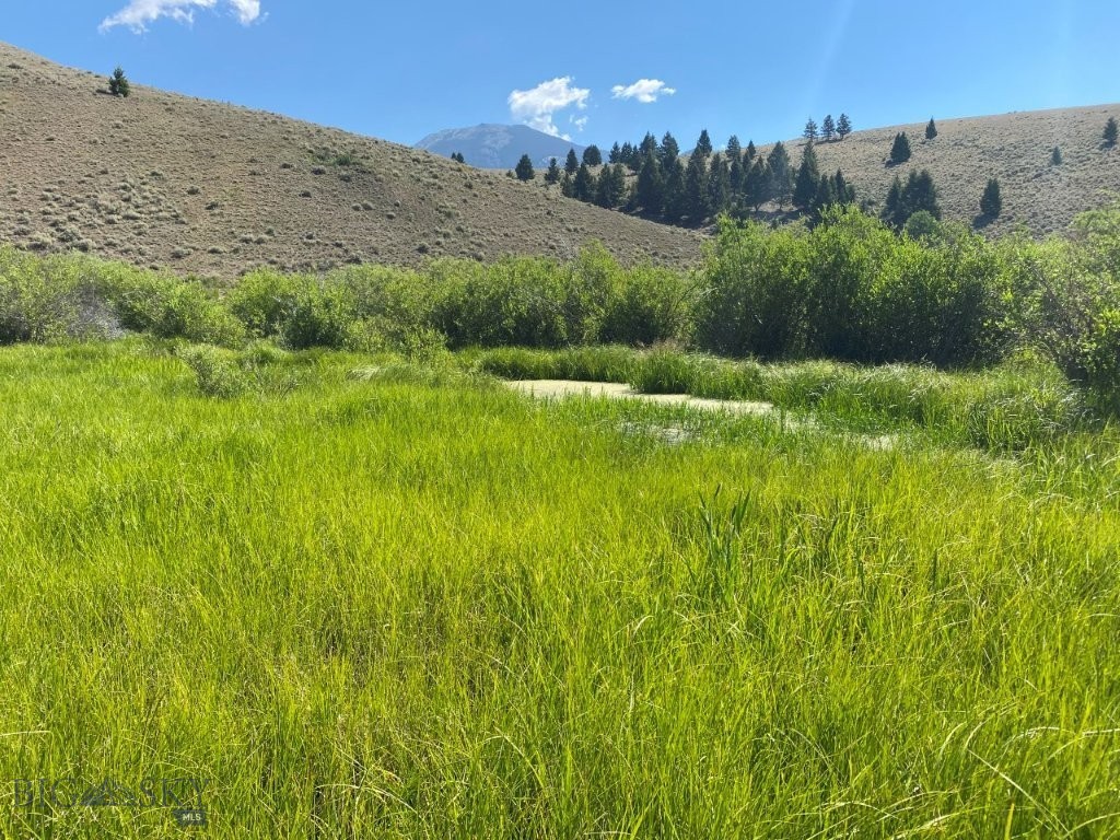 Tbd Camp Creek Road Property Photo 14
