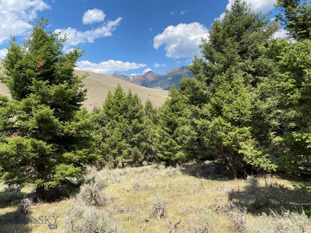 Tbd Camp Creek Road Property Photo 25
