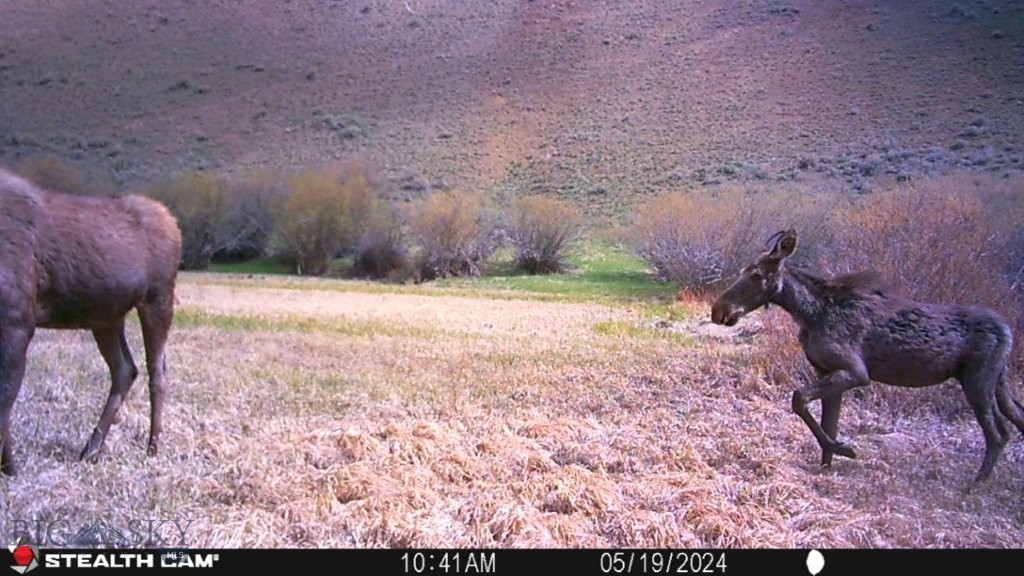 Tbd Camp Creek Road Property Photo 31