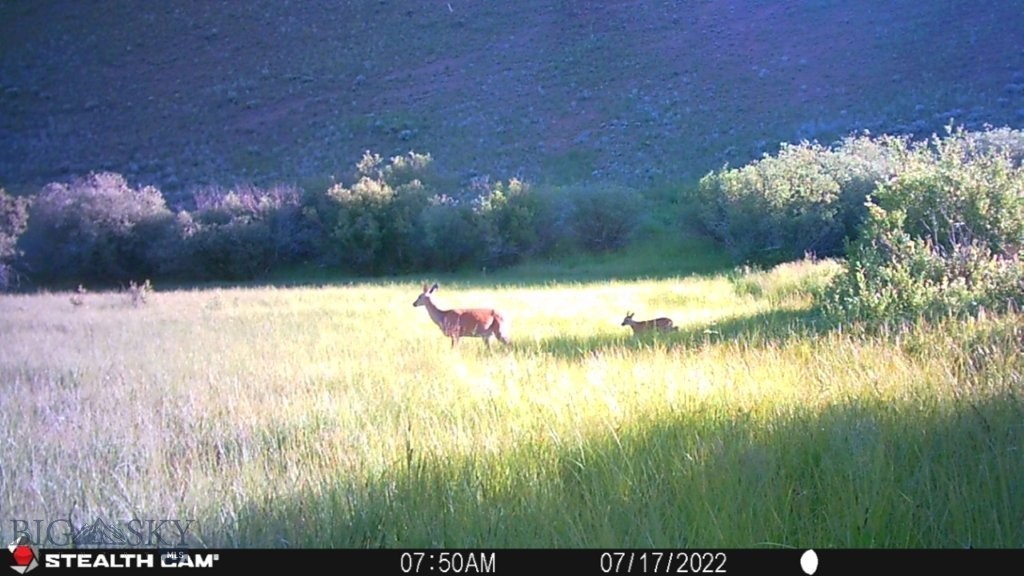 Tbd Camp Creek Road Property Photo 33