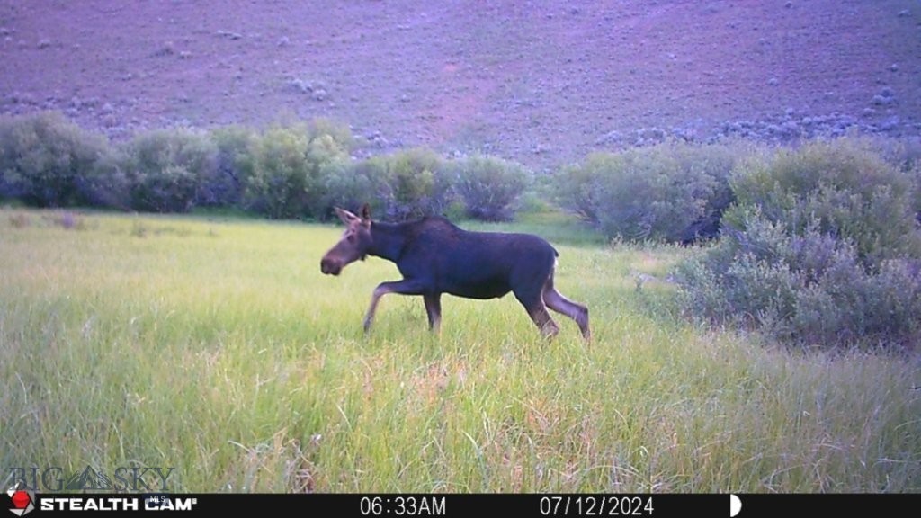 Tbd Camp Creek Road Property Photo 37