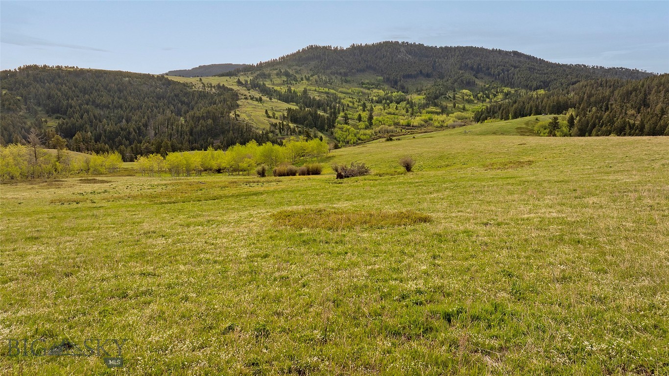 411674 Property Photo 31
