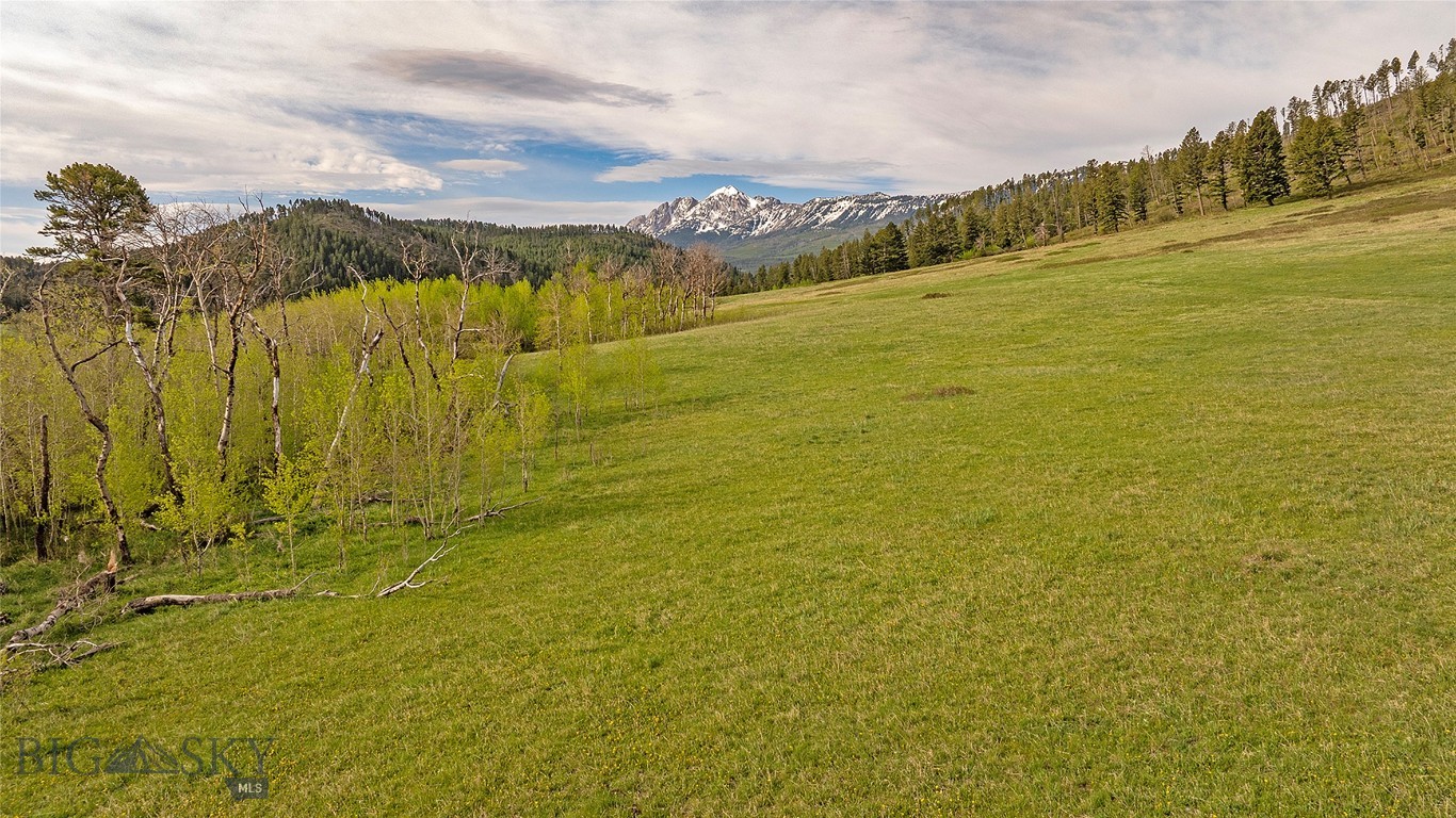411674 Property Photo 33
