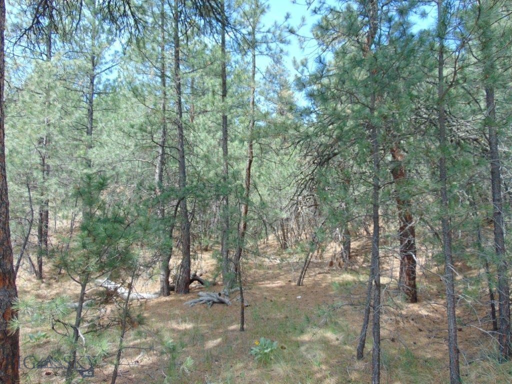 19 Lookout Lane Property Photo 25