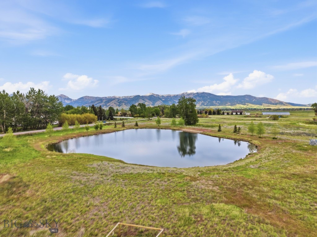 165 Tippet Trail Property Photo 16
