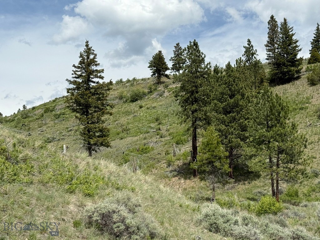 11 Upper Greyson Creek Road Property Photo 27