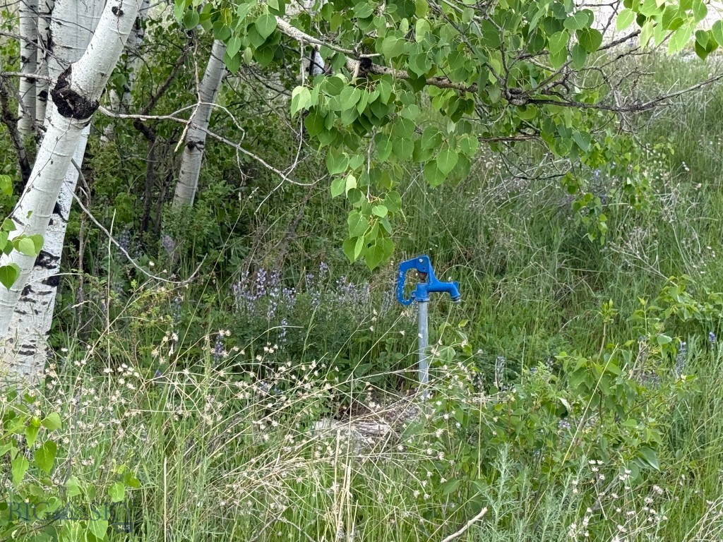 11 Upper Greyson Creek Road Property Photo 34