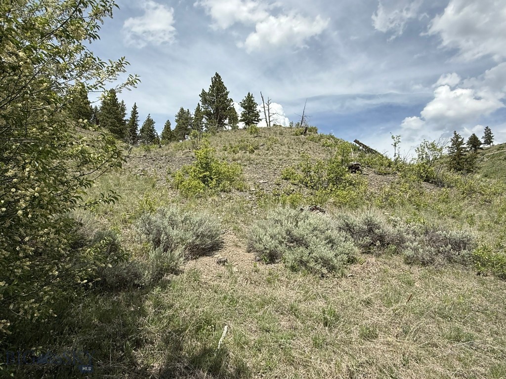 11 Upper Greyson Creek Road Property Photo 50