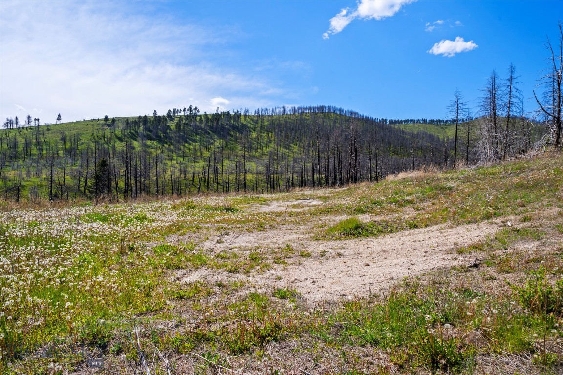 2010 Us Highway 12 E Property Photo 33