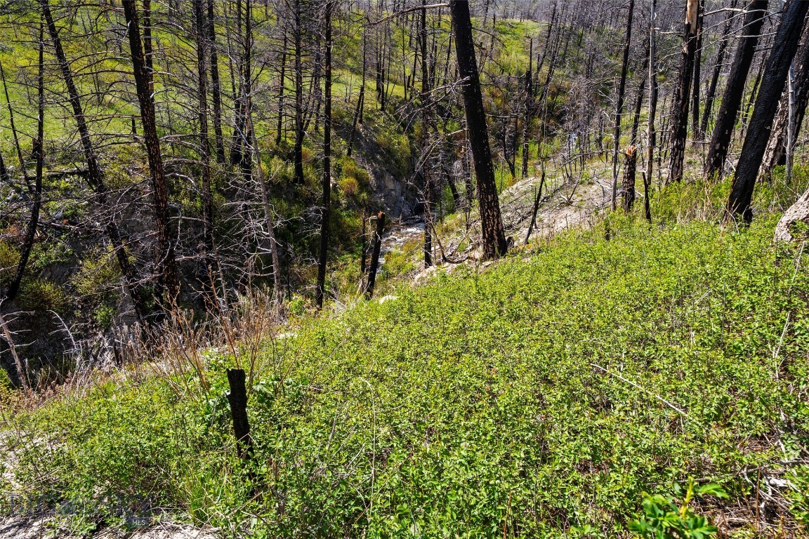 2010 Us Highway 12 E Property Photo 36