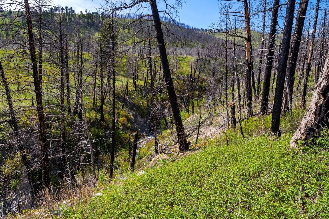2010 Us Highway 12 E Property Photo 37