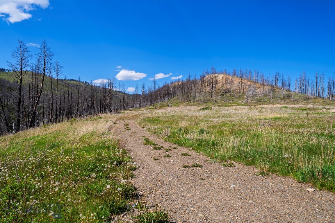 2010 Us Highway 12 E Property Photo 38