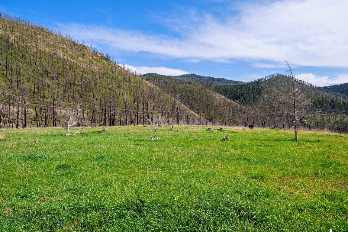 2010 Us Highway 12 E Property Photo 39