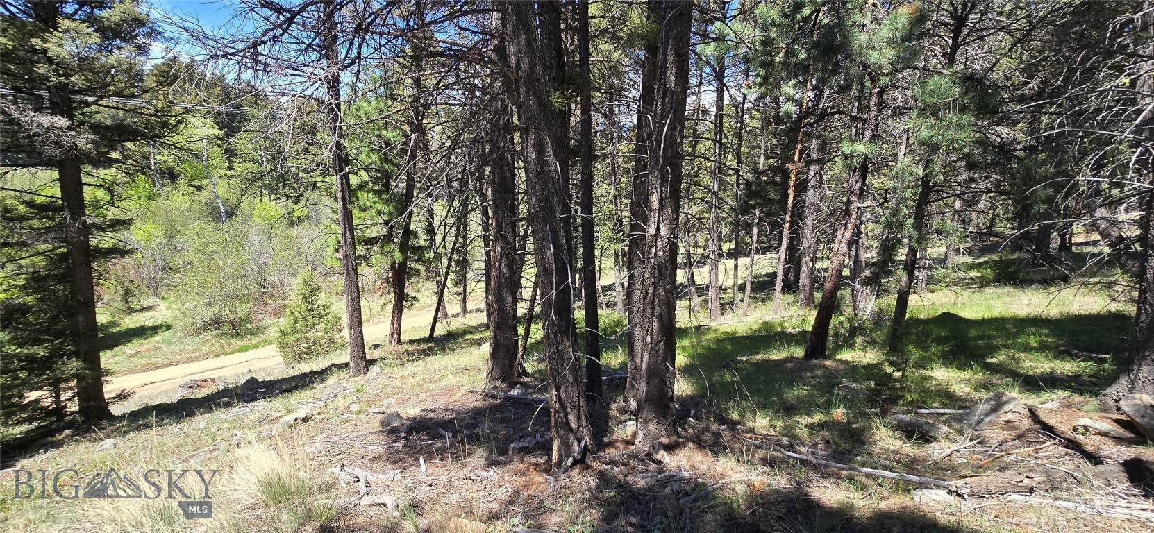 Tbd Powerline Road Property Photo 8