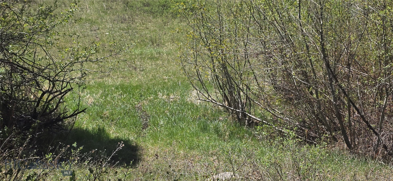 Tbd Powerline Road Property Photo 9