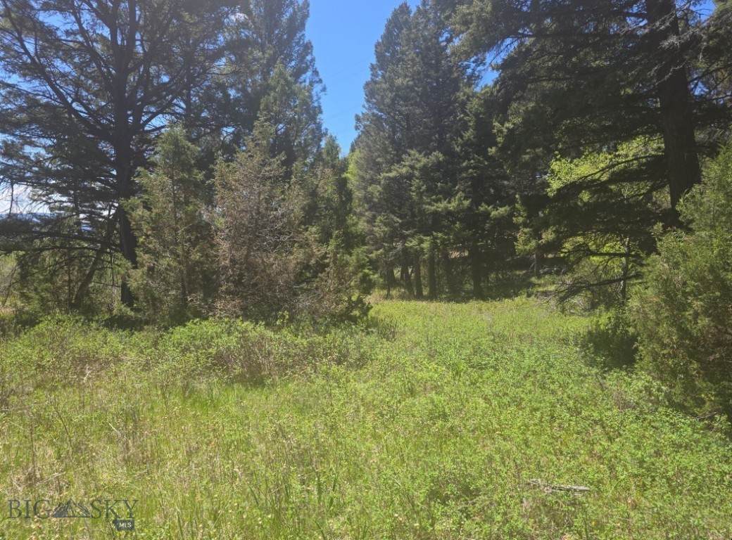 Tbd Powerline Road Property Photo 11