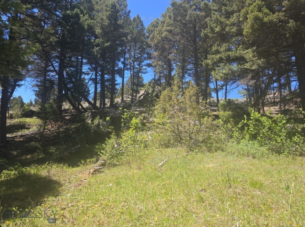 Tbd Powerline Road Property Photo 12
