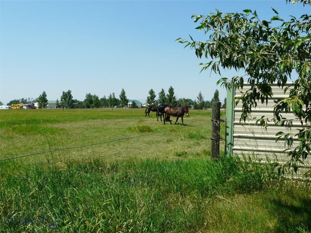 7543 Fowler Lane Property Photo 45