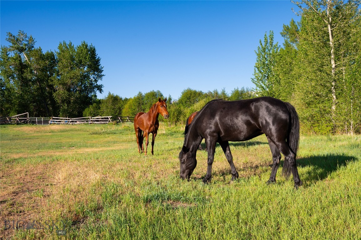 200 Pony Road Property Photo 53