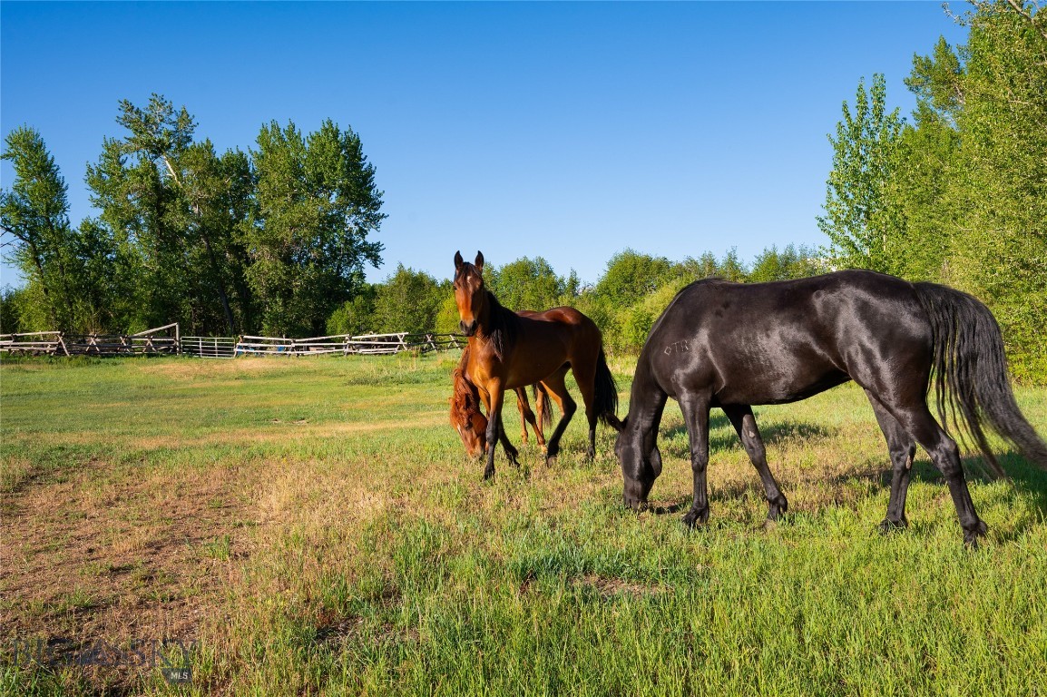 200 Pony Road Property Photo 54