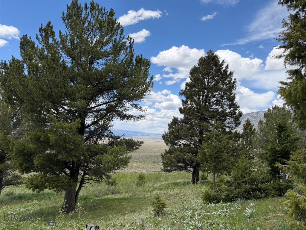 Parcel 2 & 4A Continental Divide RD Property Photo 1