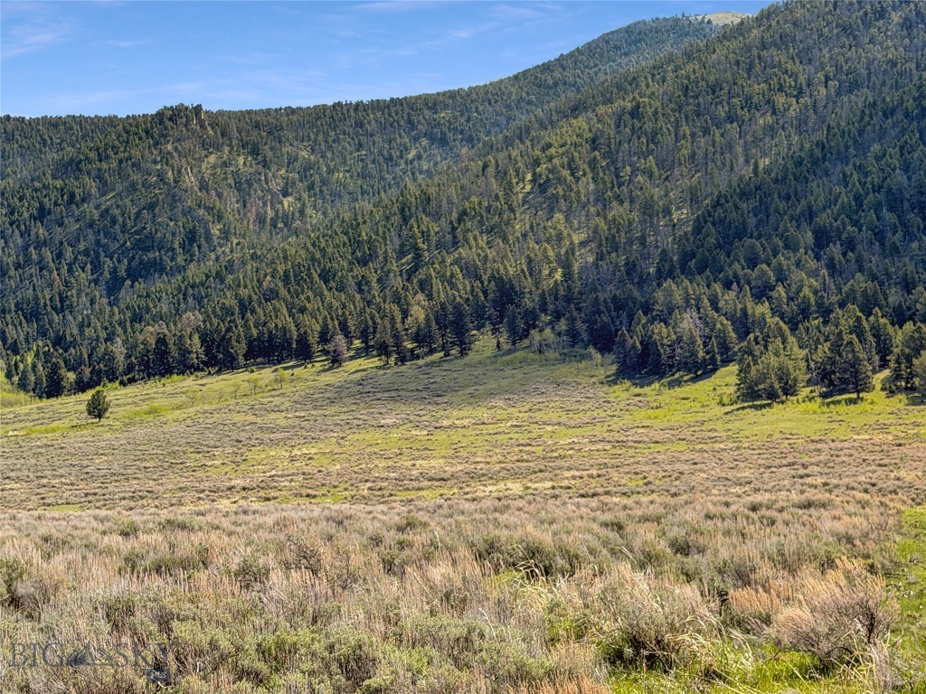 Parcel 2 & 4a Continental Divide Rd Property Photo 3