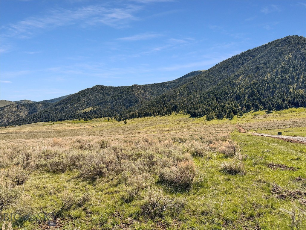 Parcel 2 & 4a Continental Divide Rd Property Photo 4