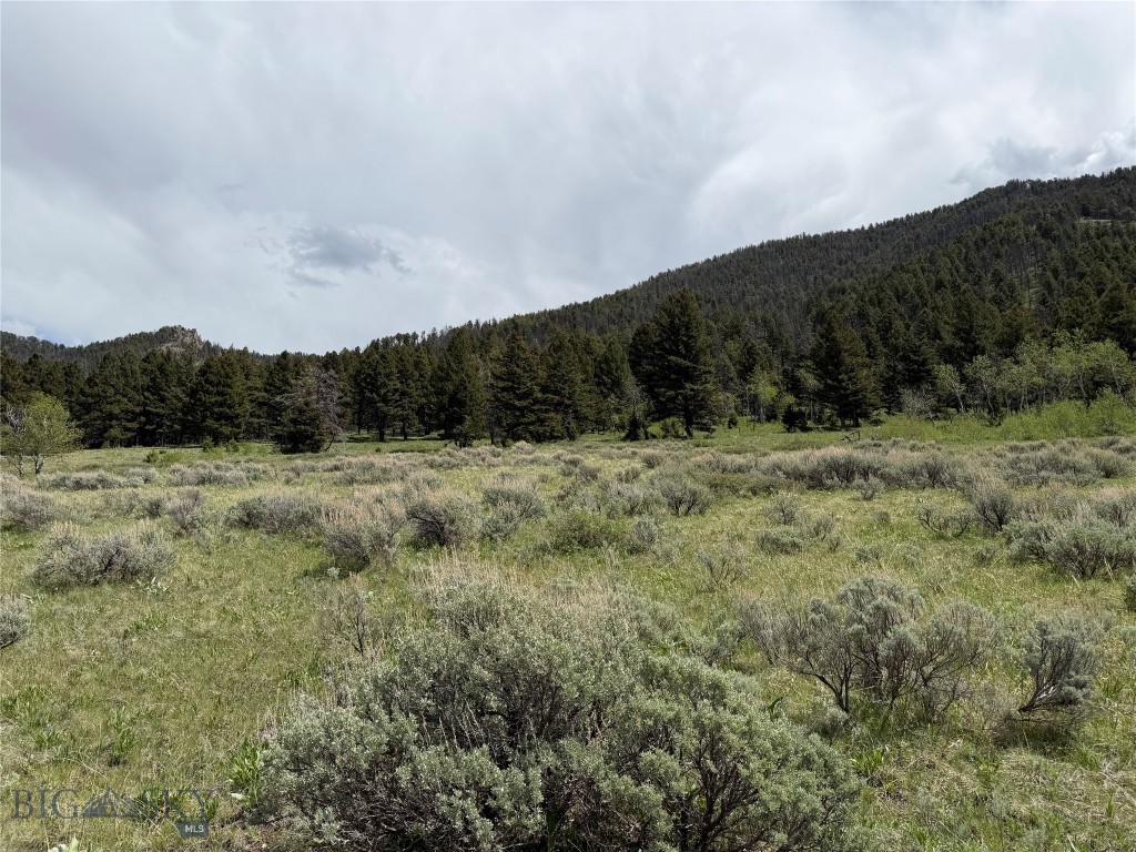 Parcel 2 & 4a Continental Divide Rd Property Photo 10