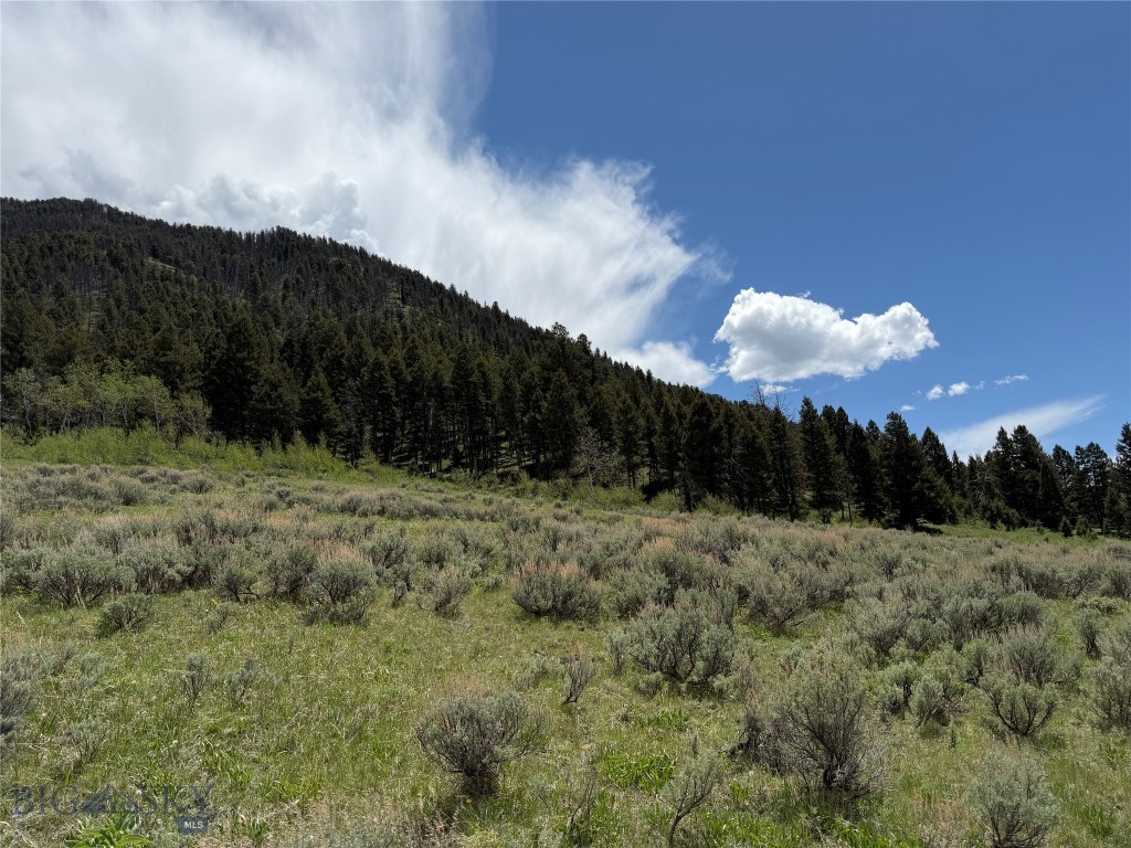 Parcel 2 & 4a Continental Divide Rd Property Photo 11