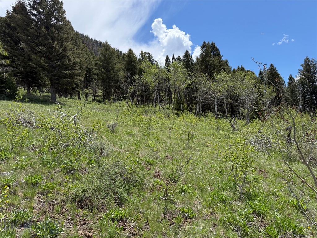 Parcel 2 & 4a Continental Divide Rd Property Photo 12