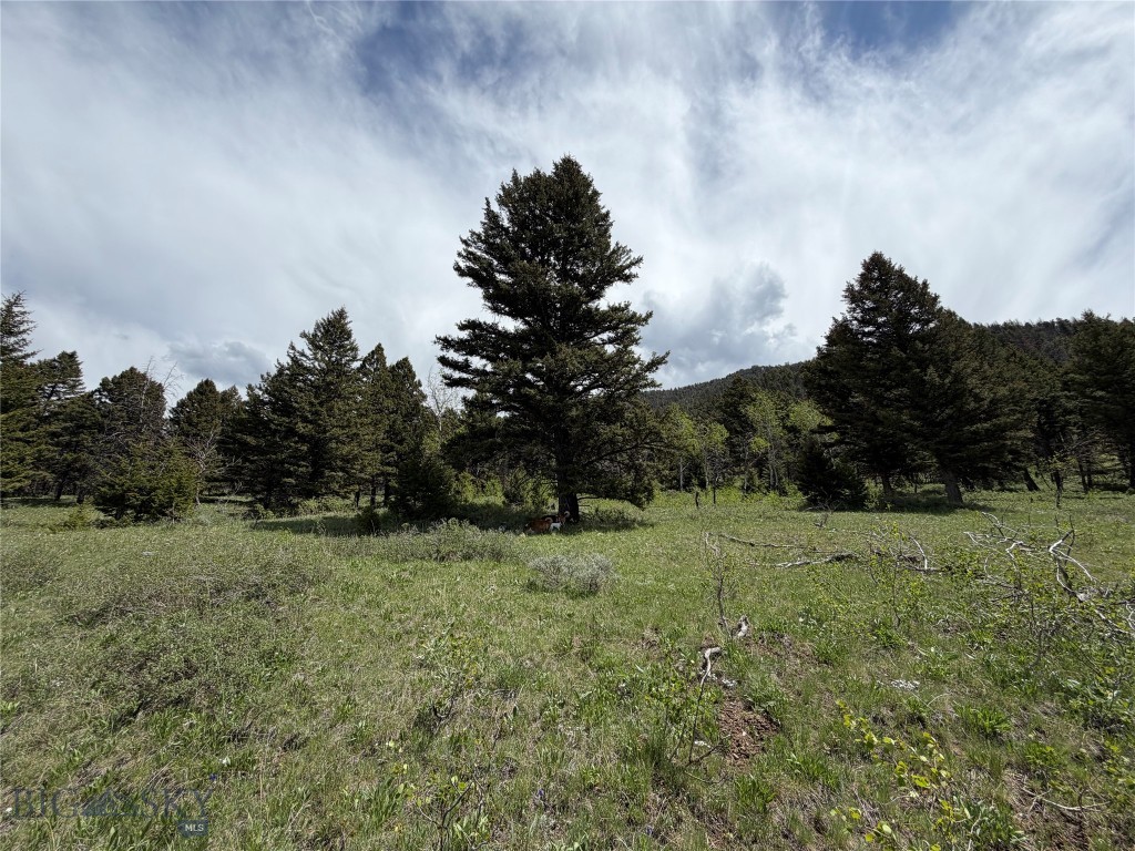 Parcel 2 & 4a Continental Divide Rd Property Photo 14