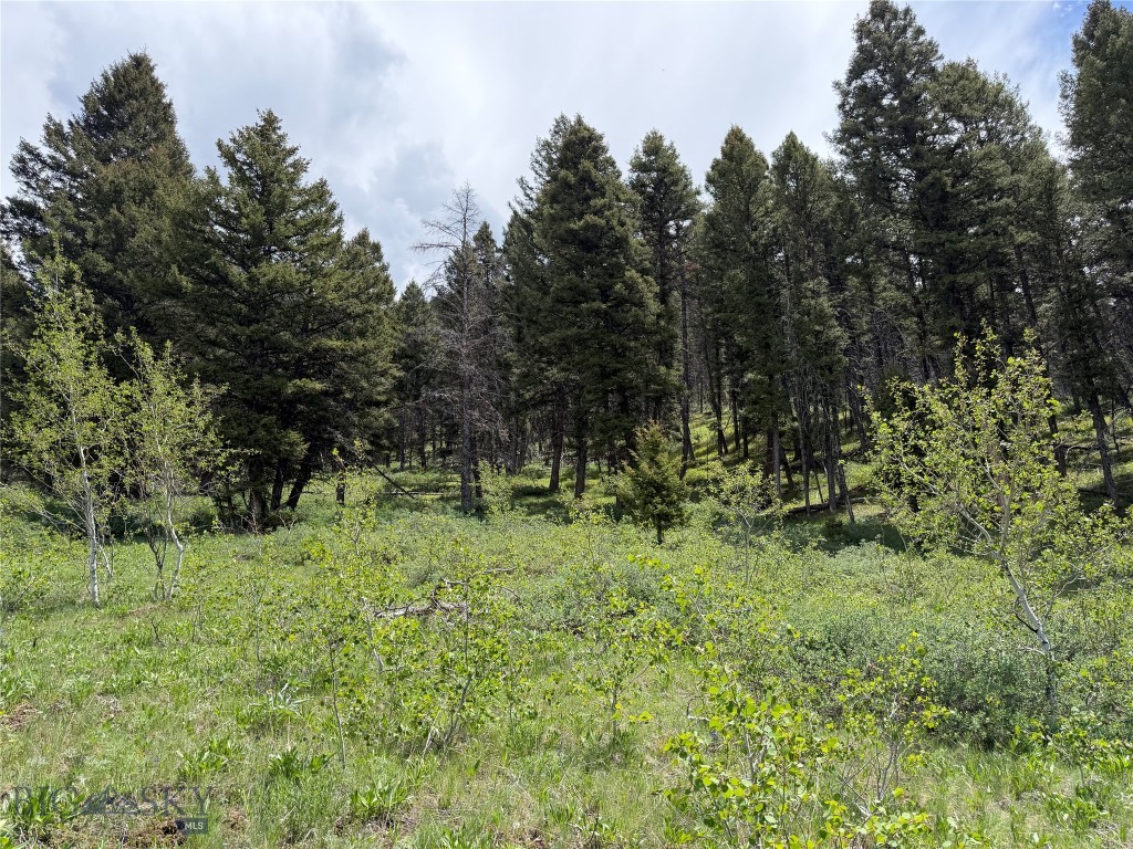 Parcel 2 & 4a Continental Divide Rd Property Photo 15