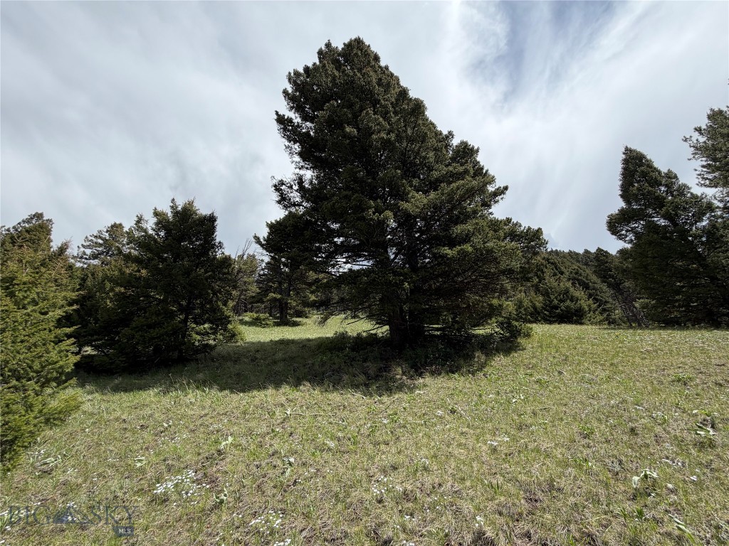 Parcel 2 & 4a Continental Divide Rd Property Photo 19