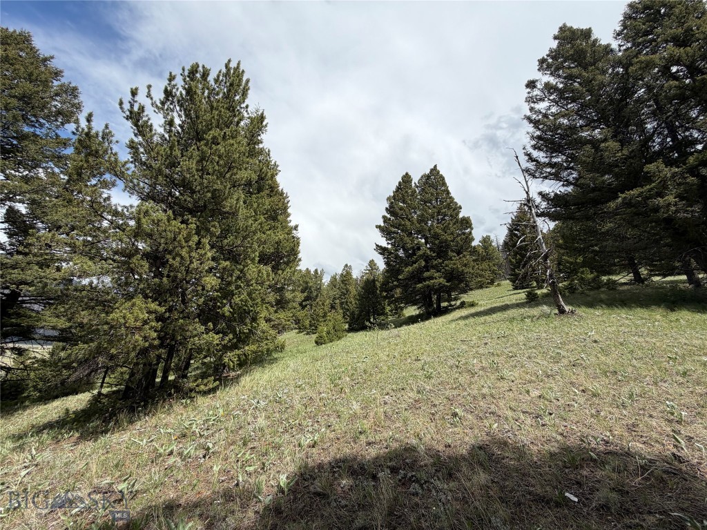 Parcel 2 & 4a Continental Divide Rd Property Photo 21