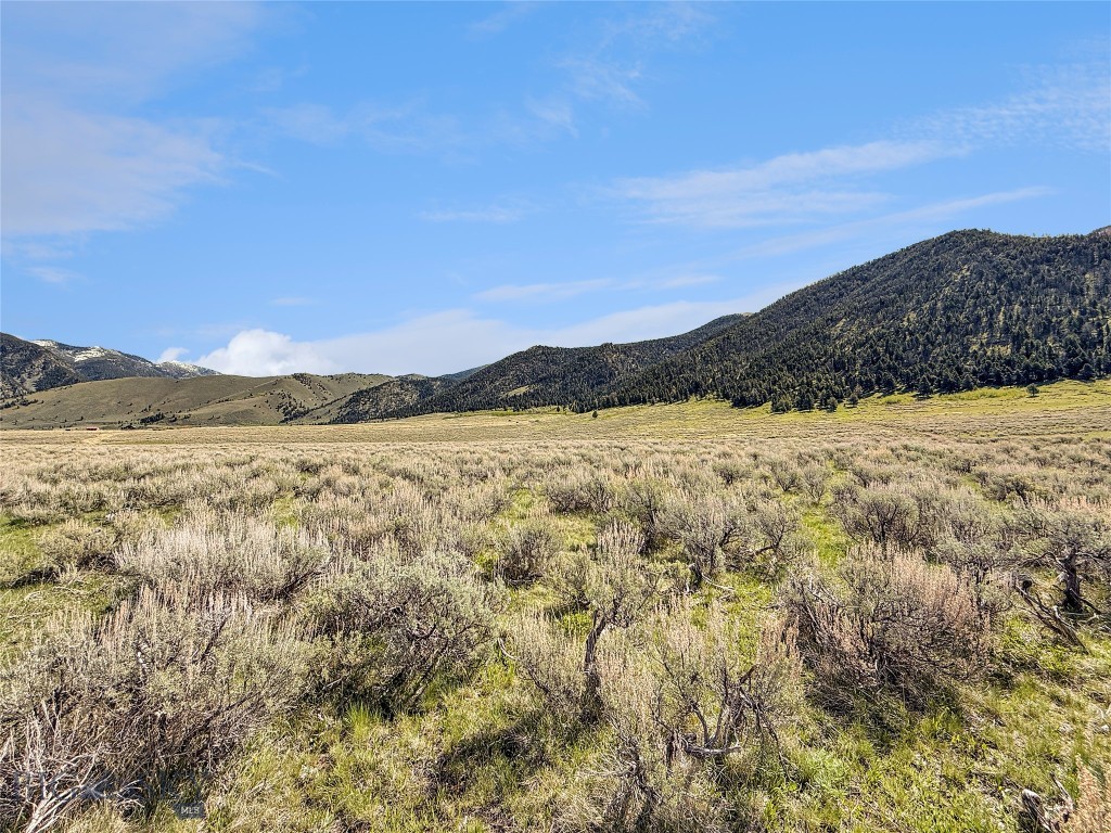 Parcel 2 & 4a Continental Divide Rd Property Photo 23