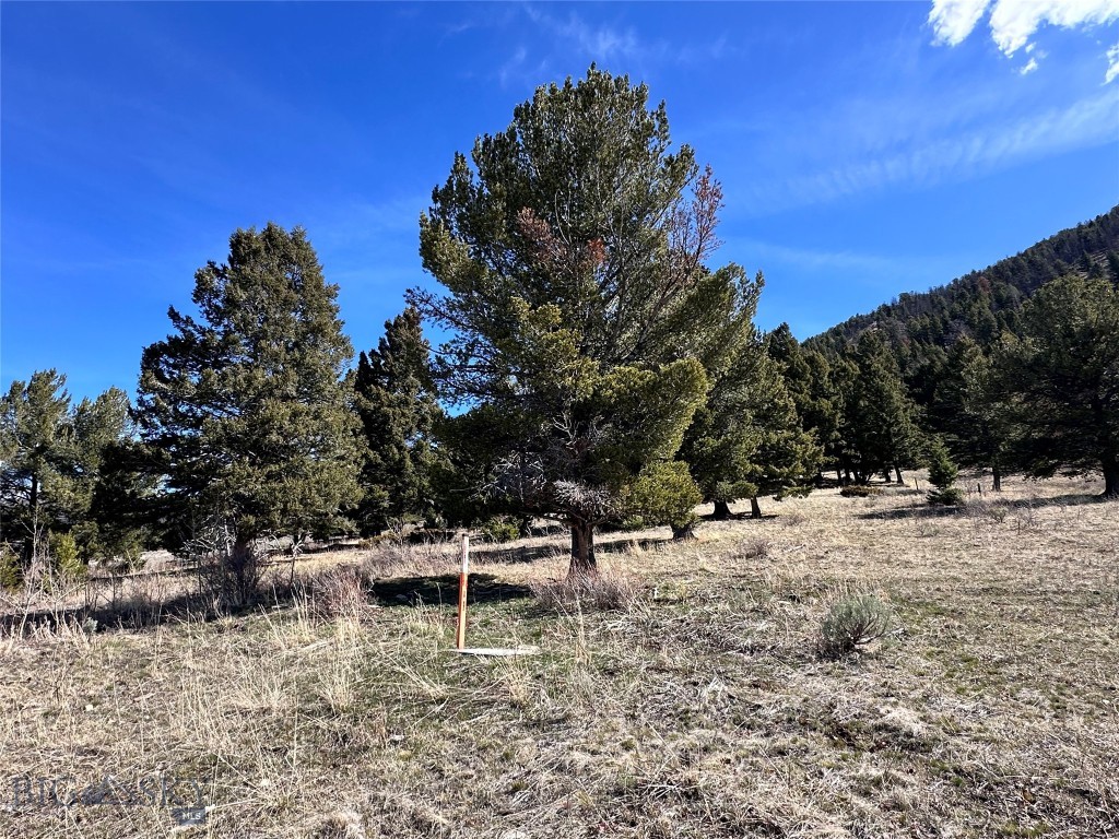 Parcel 2 & 4a Continental Divide Rd Property Photo 37