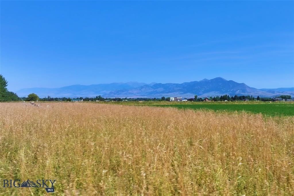 Lot 14 Nash Road Property Photo 12