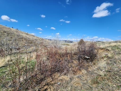 Tbd - Parcel 1 Bradley Creek Rd Property Photo 22