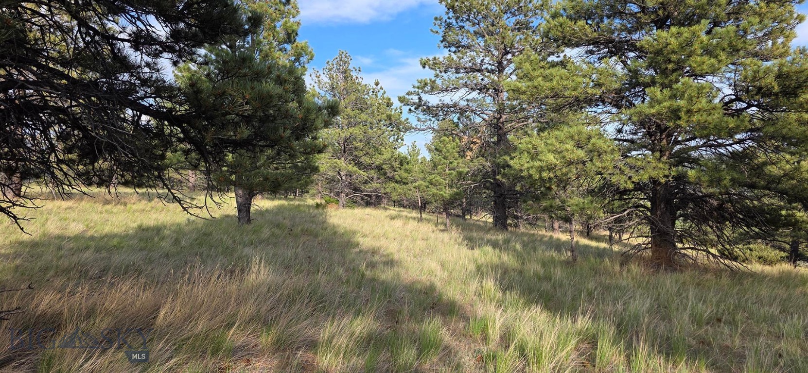 215 Shanks Basin Road Property Photo 55