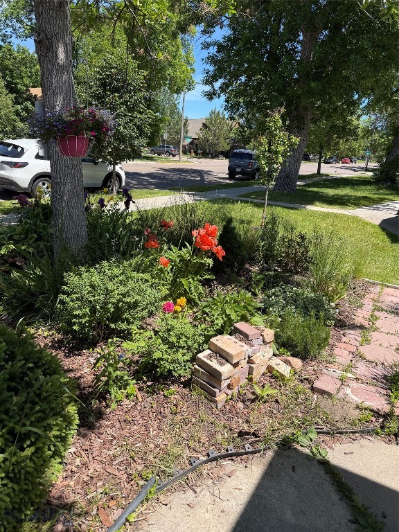 2116 8th Avenue N Property Photo 47