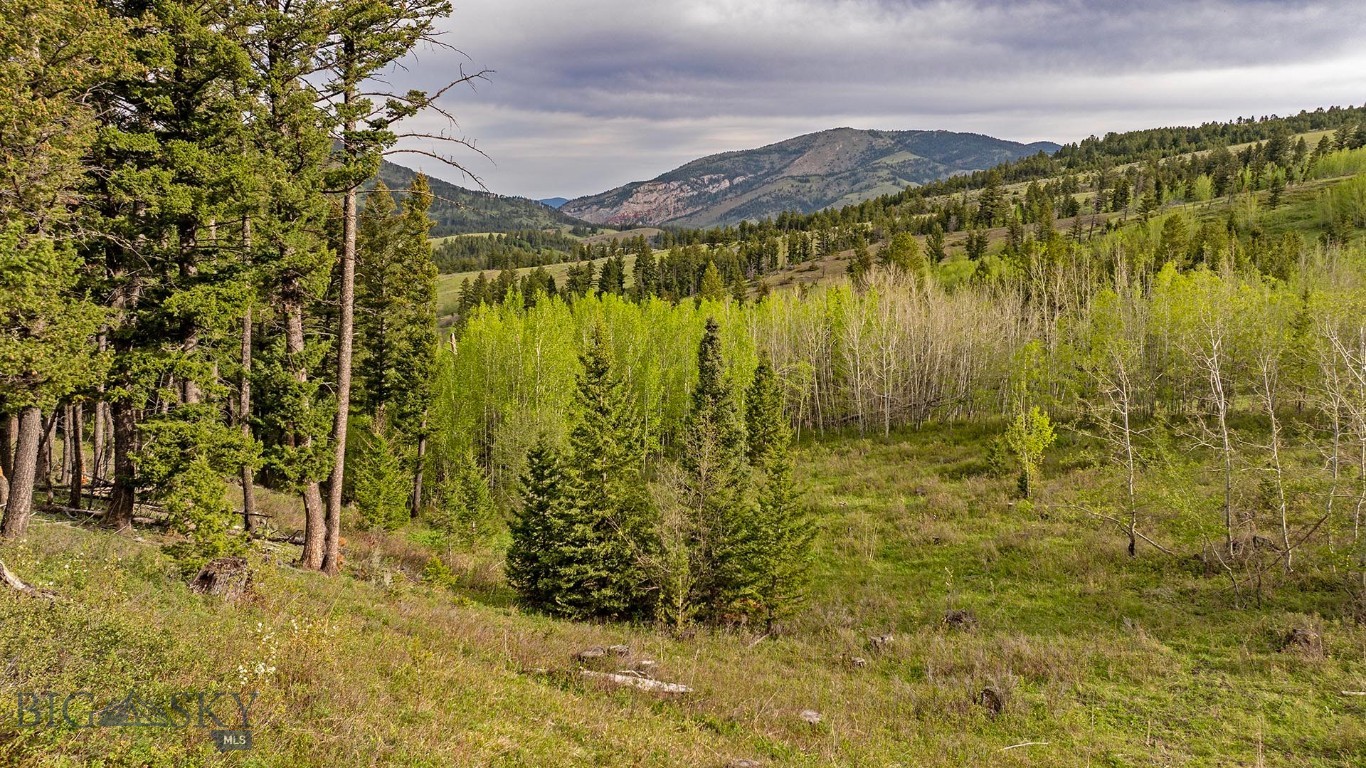 Tbd Petterson Road Property Photo 3