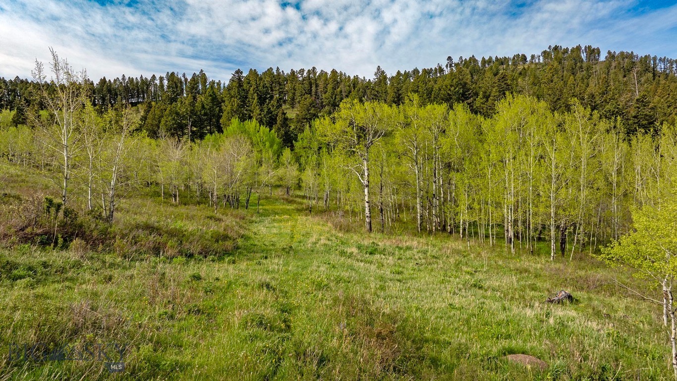 Tbd Petterson Road Property Photo 5