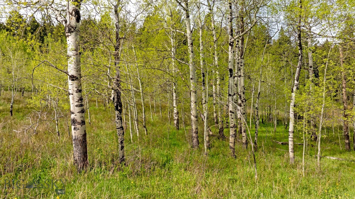 Tbd Petterson Road Property Photo 6