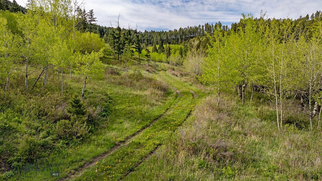Tbd Petterson Road Property Photo 7