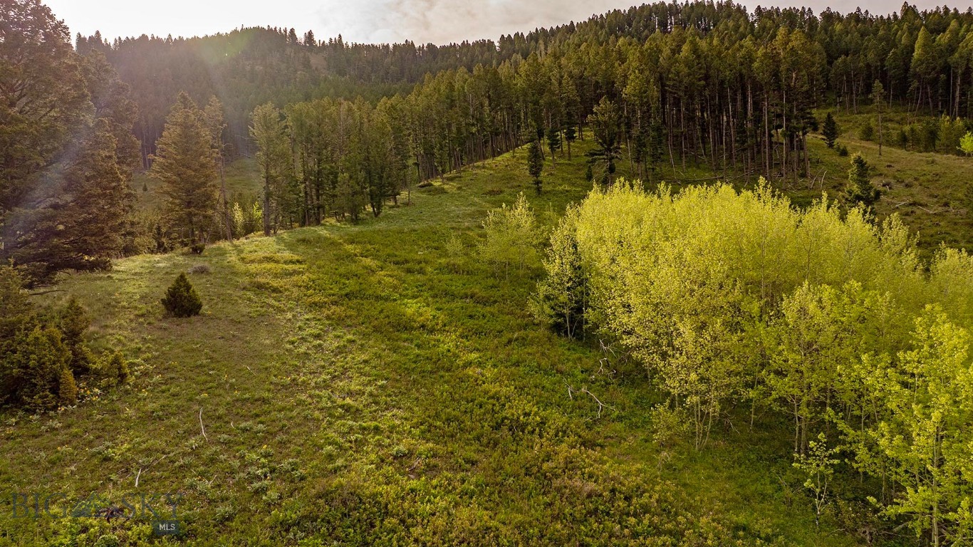Tbd Petterson Road Property Photo 11