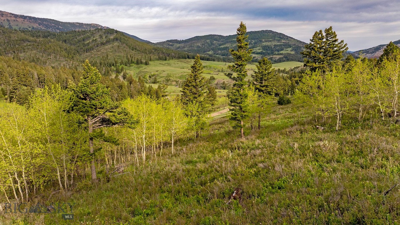 Tbd Petterson Road Property Photo 16