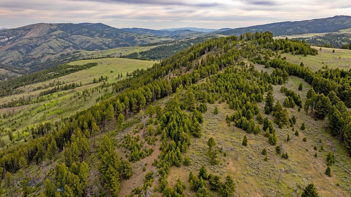 Tbd Petterson Road Property Photo 22